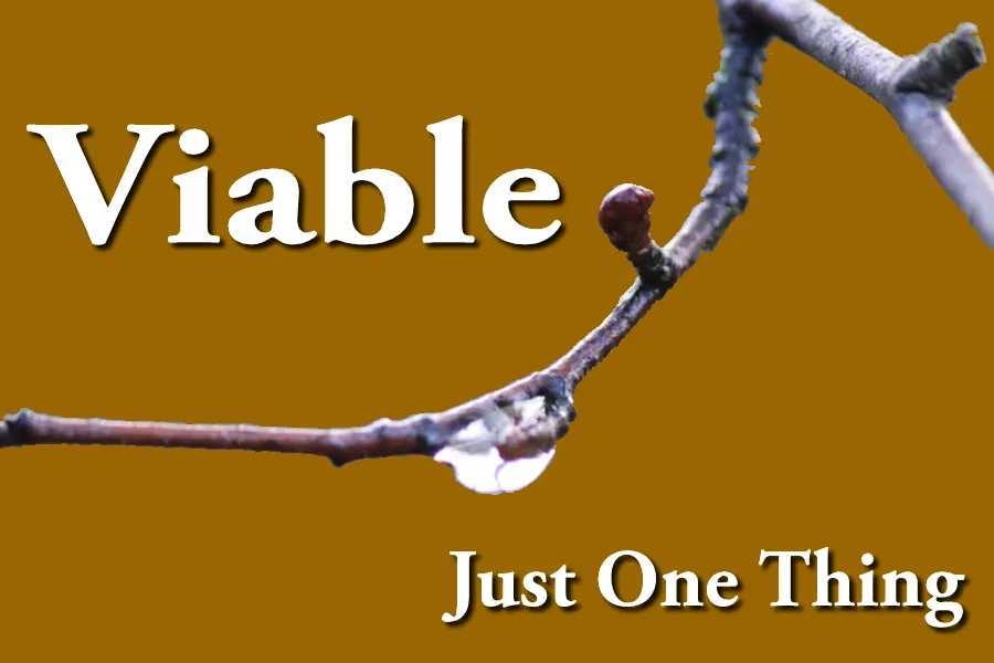 viable.png