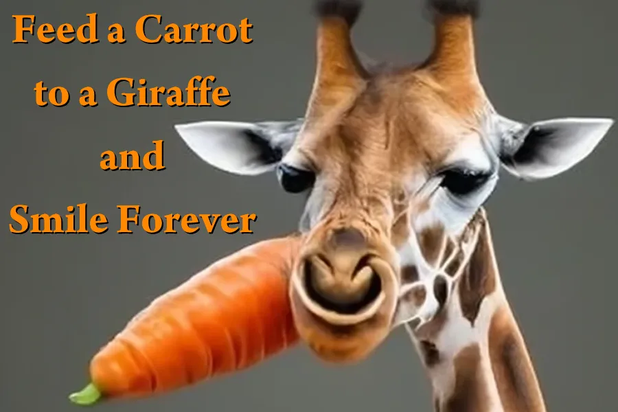 carrot.png