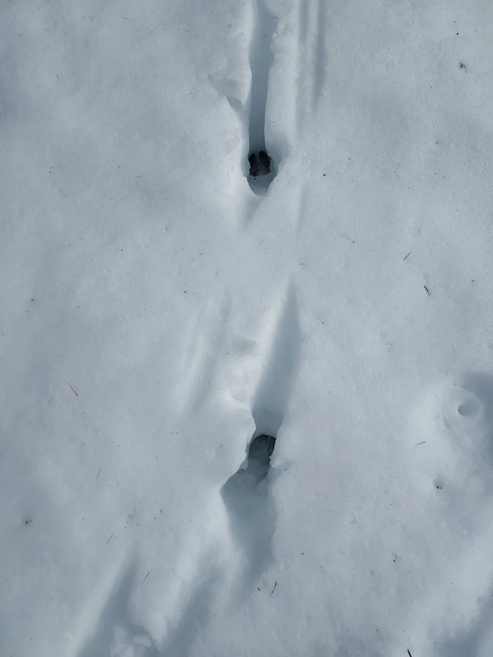20250224_110055.jpg