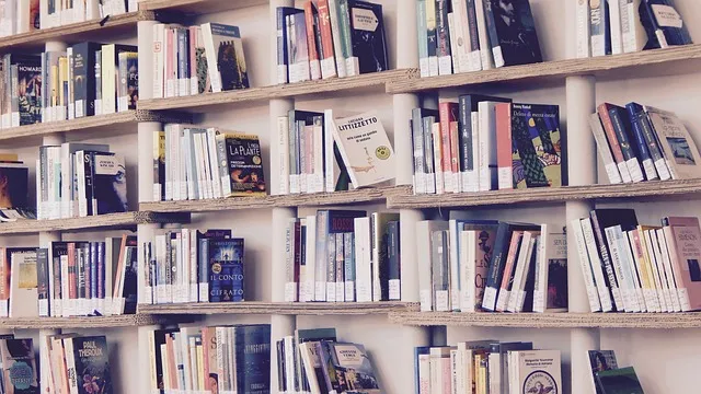 books-gddcb15d78_640.jpg