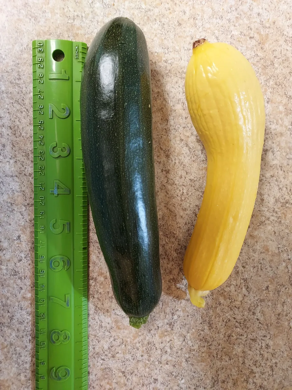 20230717_183336.jpg