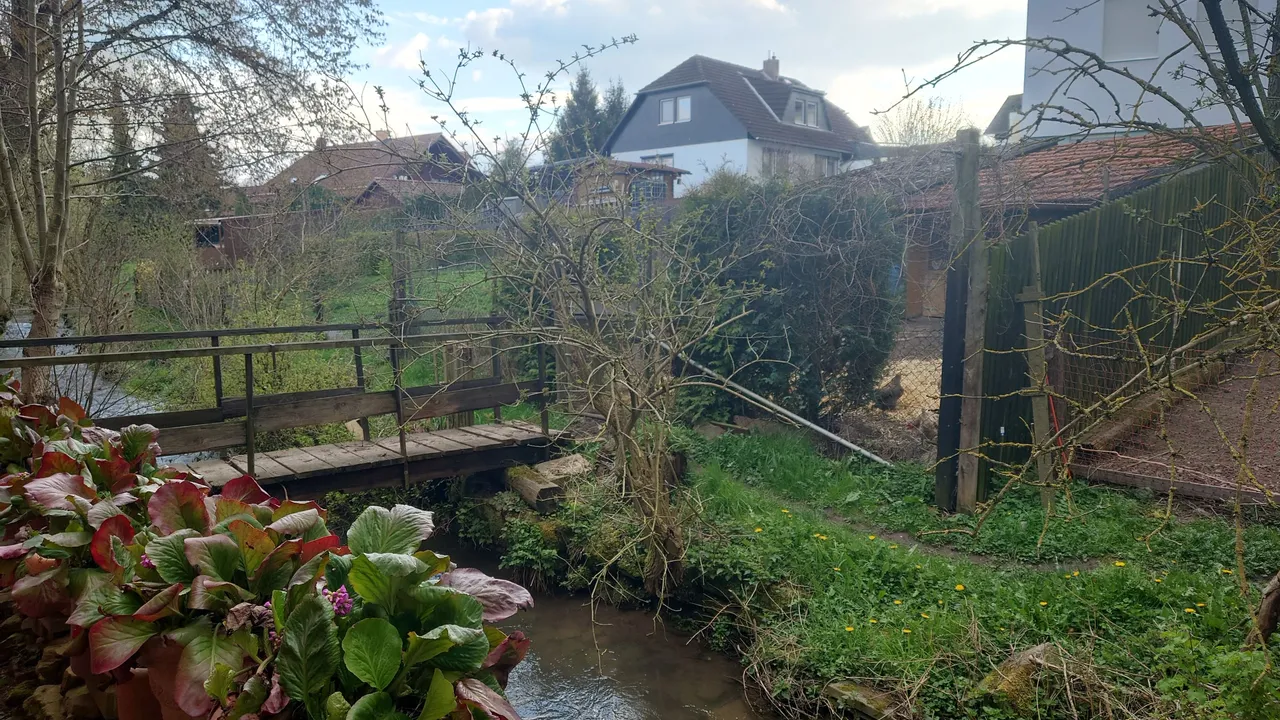 20230417_173122.JPG
