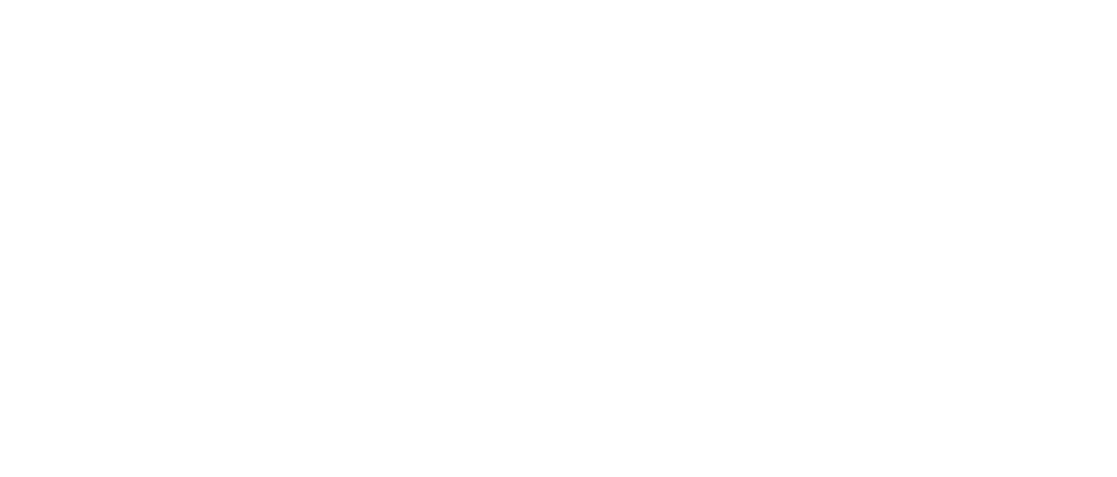 Logo_skyweaver-logo-whtransparent-bg.png