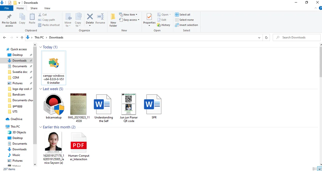 downloaded xammp.png