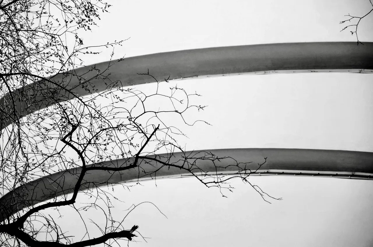949A22FA-61F7-4E34-BA08-793648C8675A_1_201_a.jpeg
