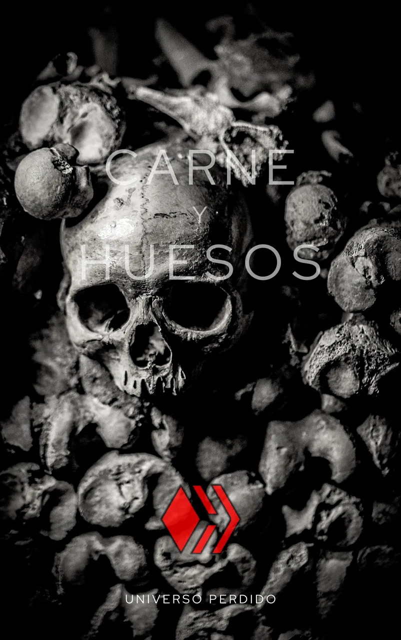 F I L T R O S (28).png