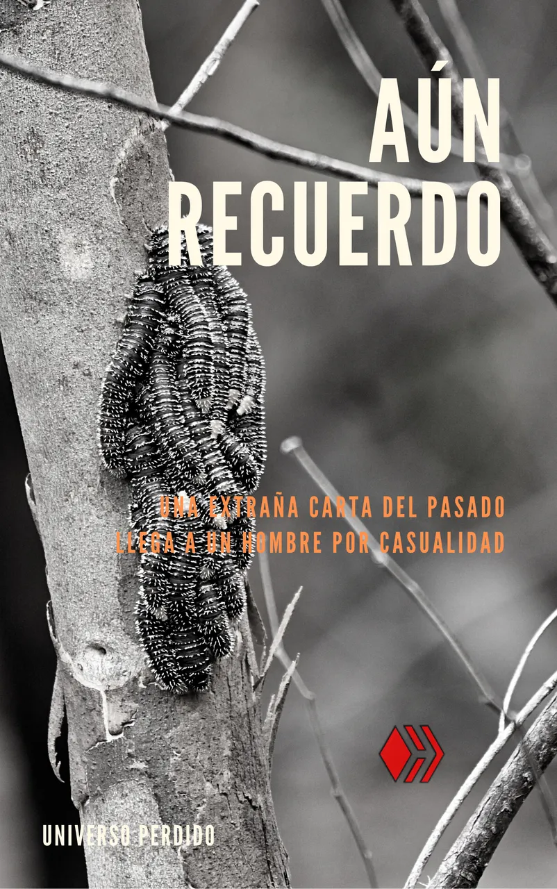 F I L T R O S (30).png