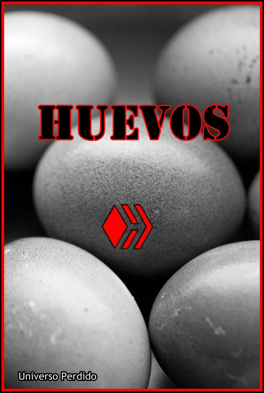 eggs-3676707_1920.jpg