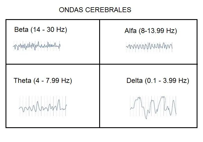 Fig. 0.1 Cuatro tipo de ondas cerebrales.jpg