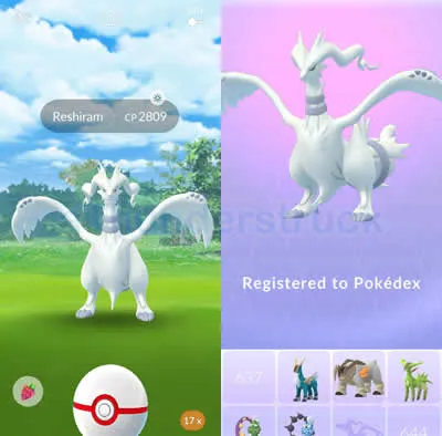 Reshiram encounter and Pokédex registry.jpg