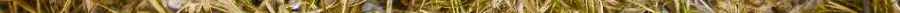 lagre_damascus_knife_with_walnut_by_hellize-d4swhwb.jpg