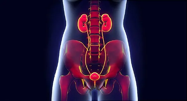 650x350_what_is_a_urinary_tract_infection_ref_guide.jpg