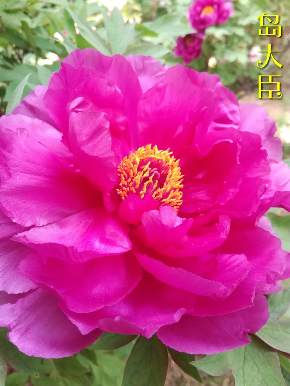 微信图片_20180413000240.jpg