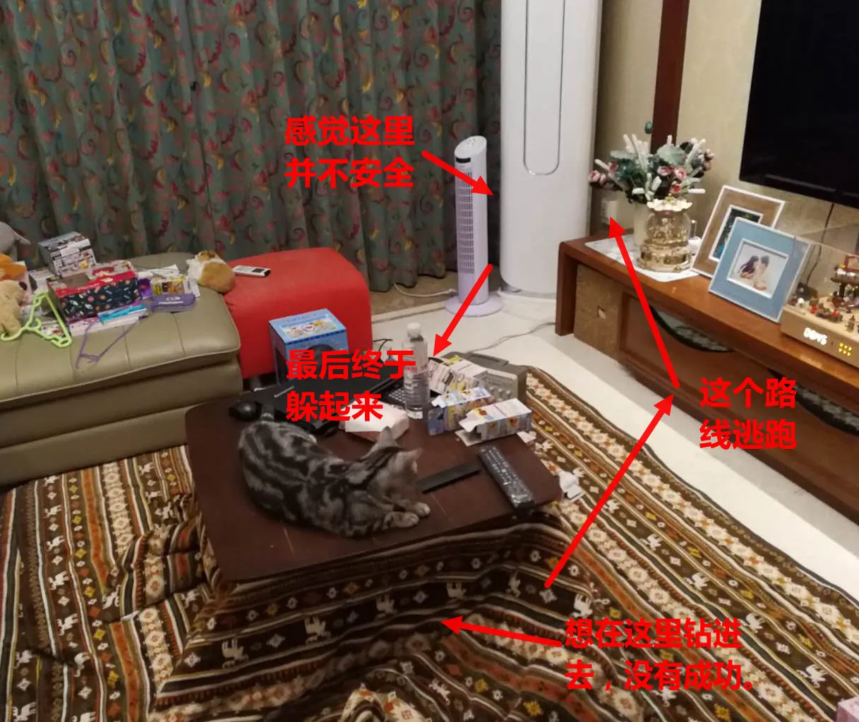 微信图片_20180116132131.jpg