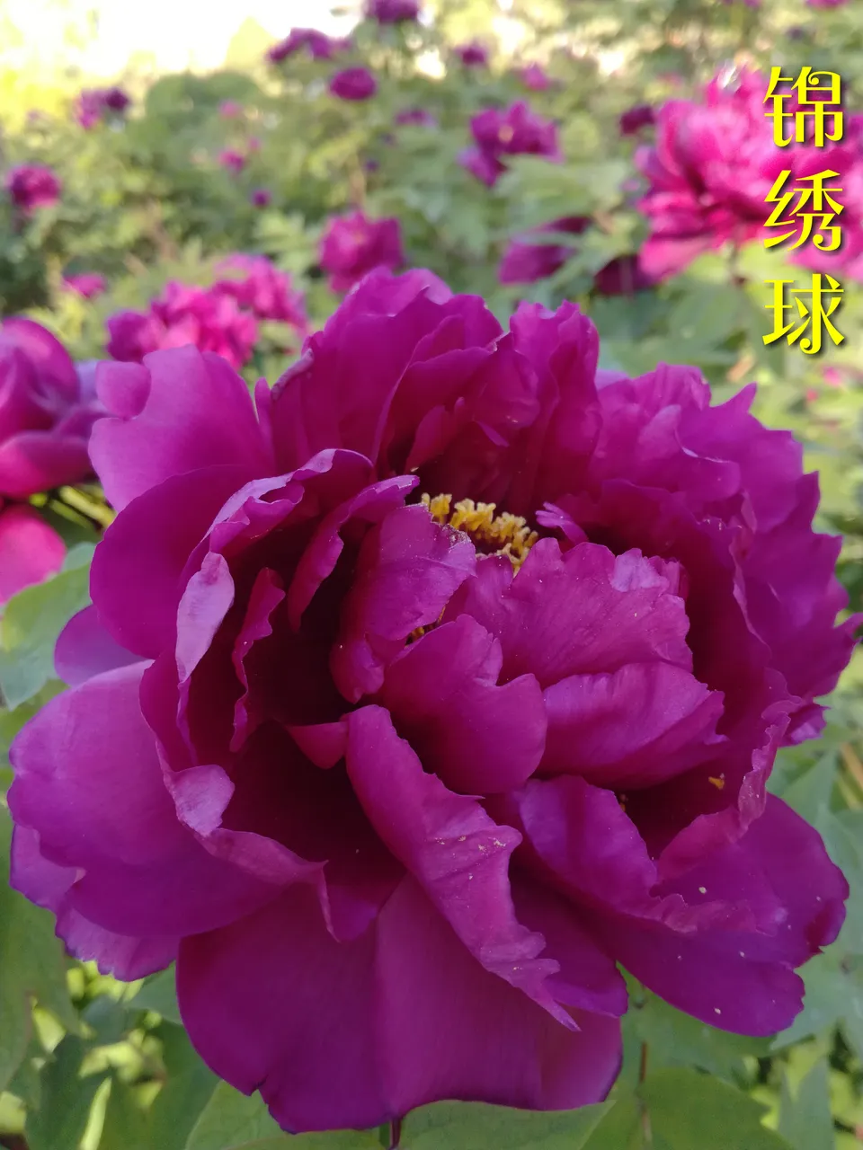微信图片_20180415160053.jpg