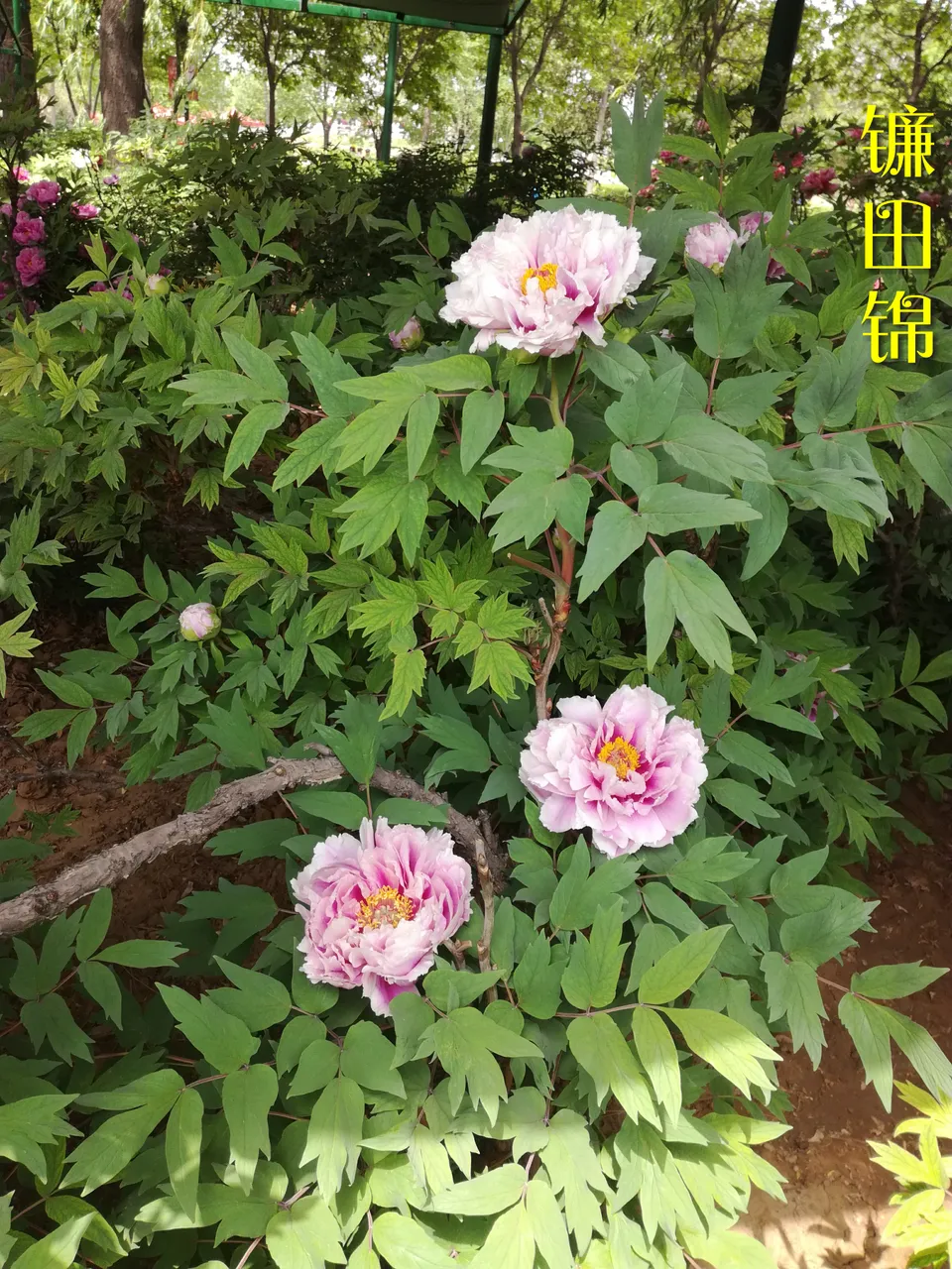 微信图片_20180413000542.jpg