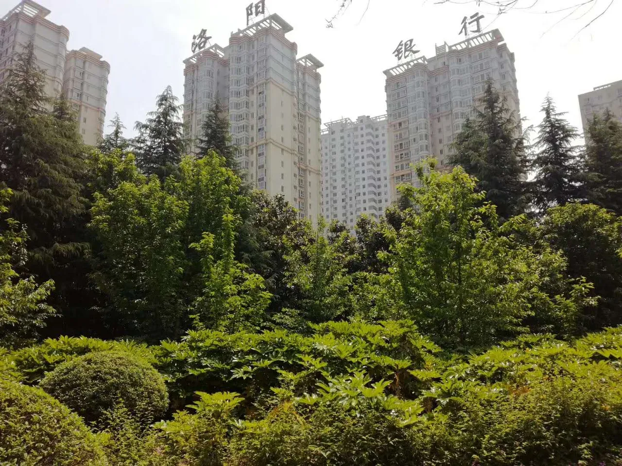 微信图片_20180504101114.jpg
