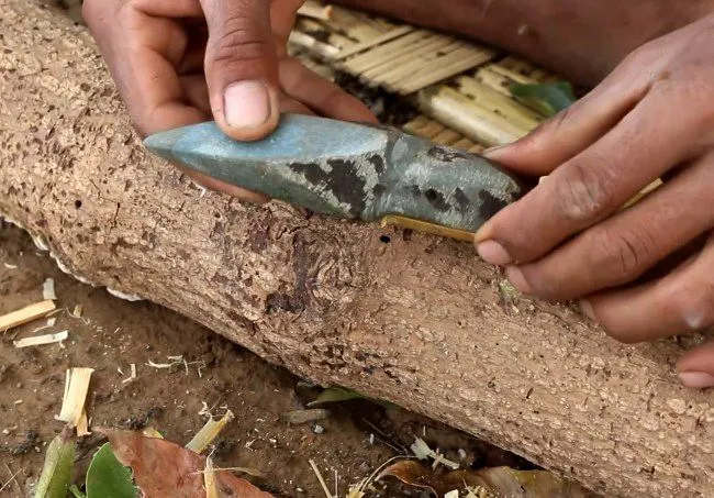 Berburu Ayam Hutan dengan Batu Runcing .jpg