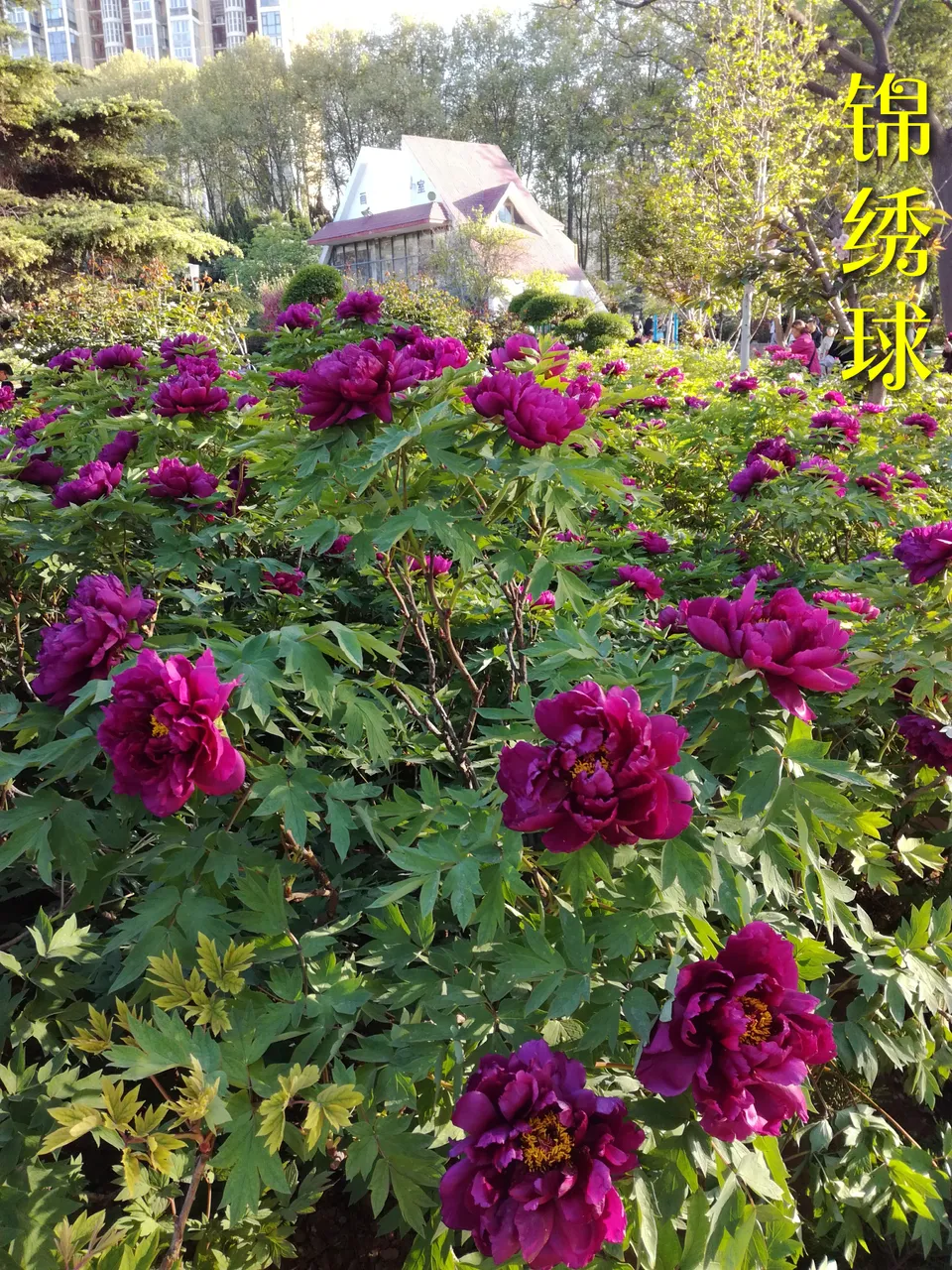 微信图片_20180415160057.jpg