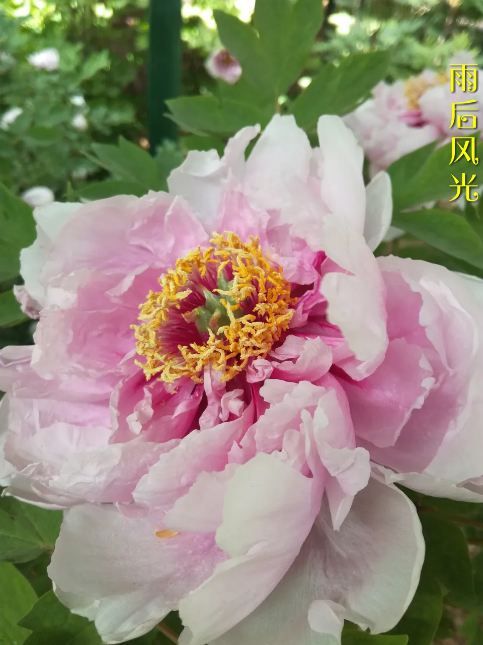 微信图片_20180413000140.jpg