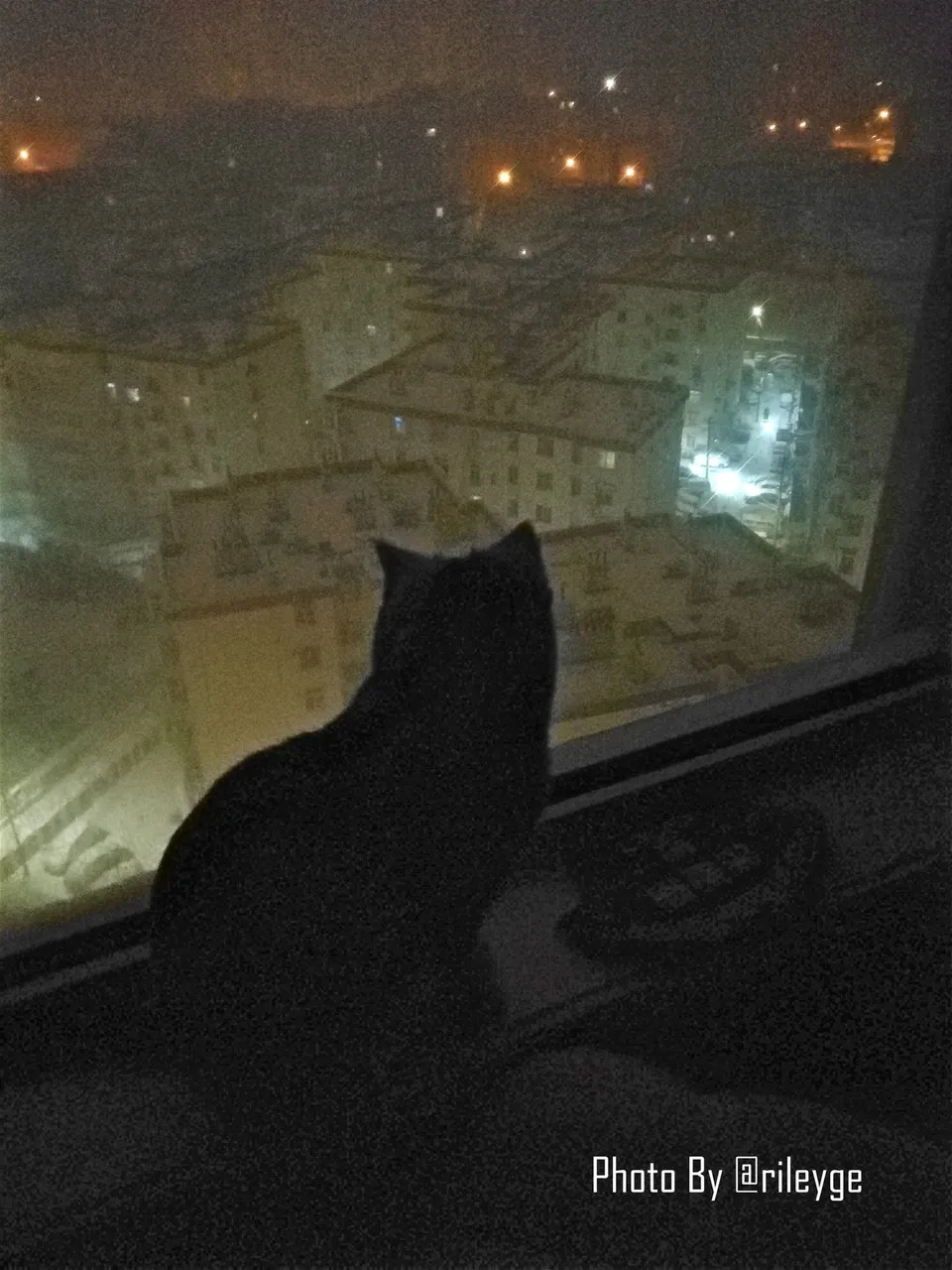 微信图片_20180127220426.jpg