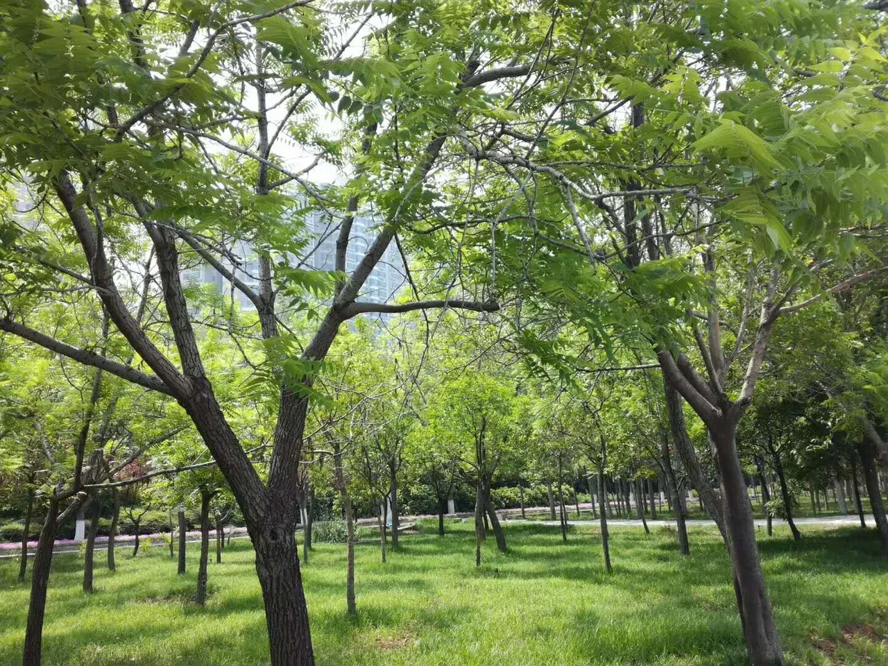微信图片_20180504101128.jpg