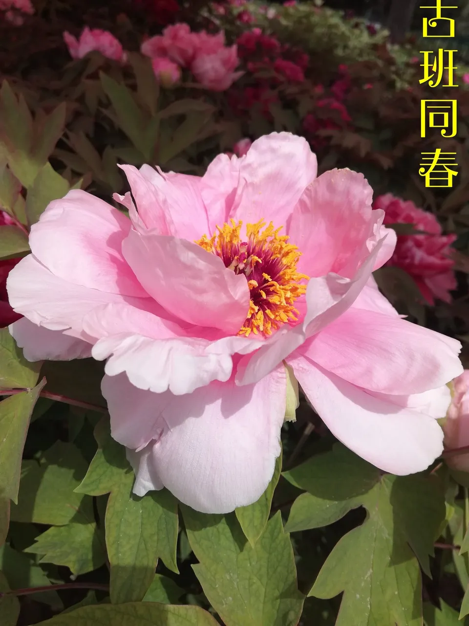 微信图片_20180415160018.jpg