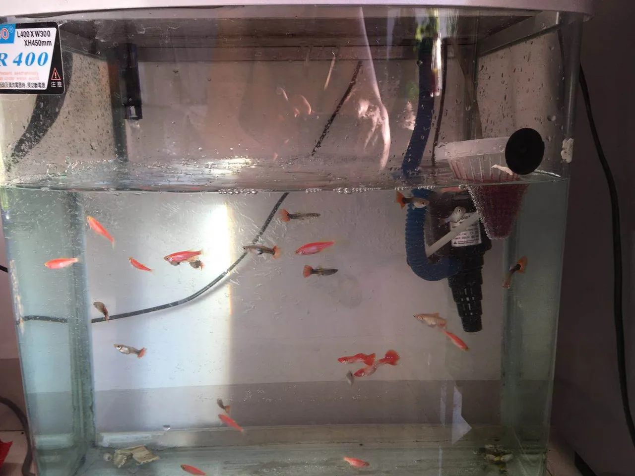 微信图片_20180310182546.jpg