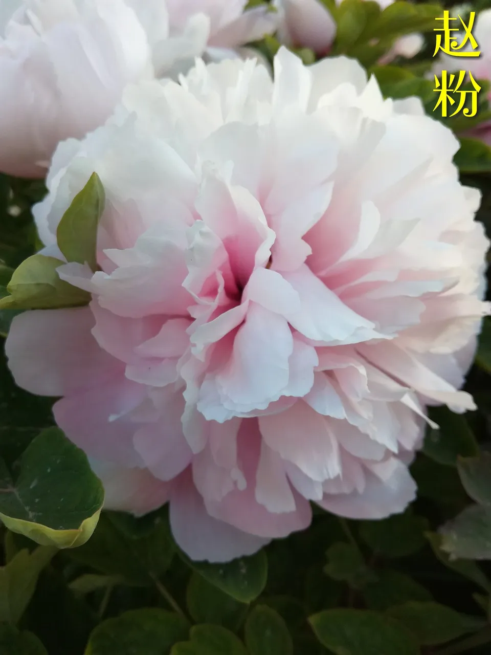 微信图片_20180415155941.jpg