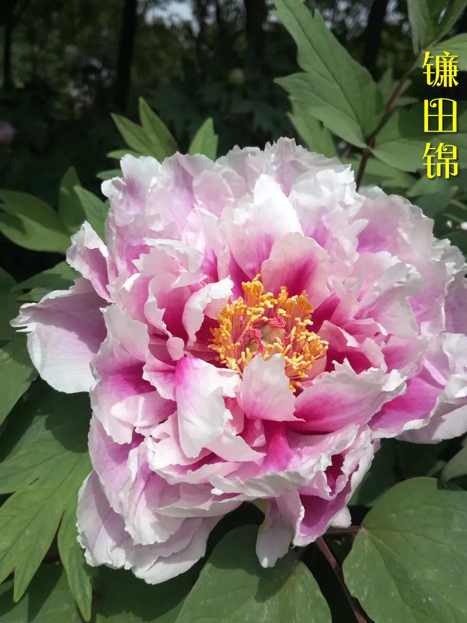 微信图片_20180413000527.jpg
