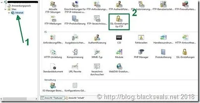 iis_ftp-service_website