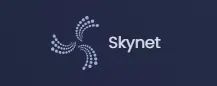 skynet.png