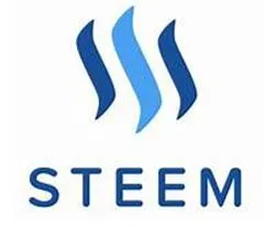 steem1.JPG