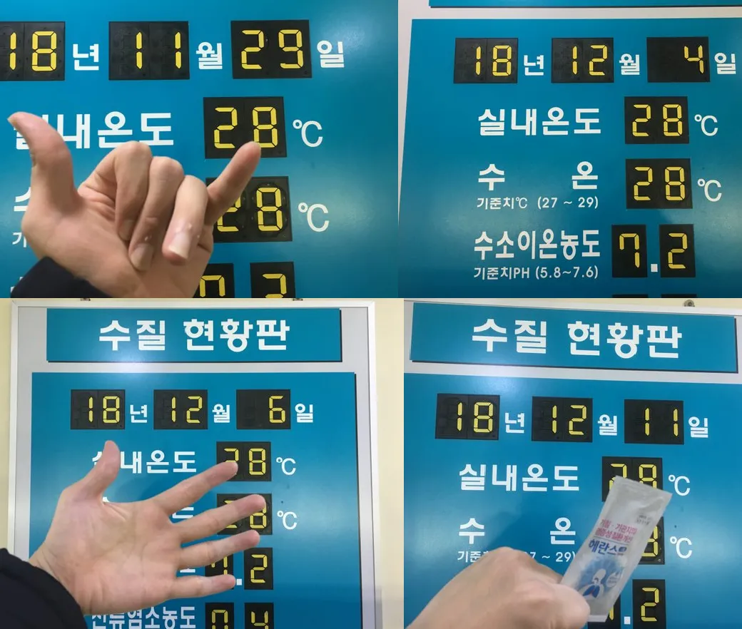 injung.png