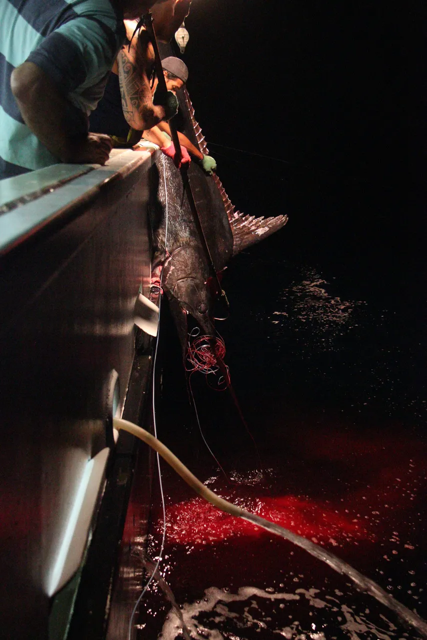 bloody.JPG