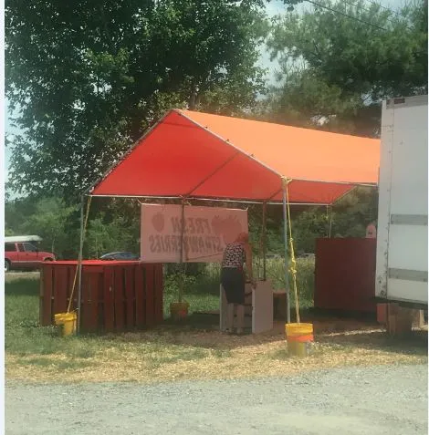 frruit.JPG