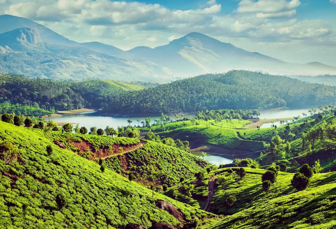 Munnar.jpg