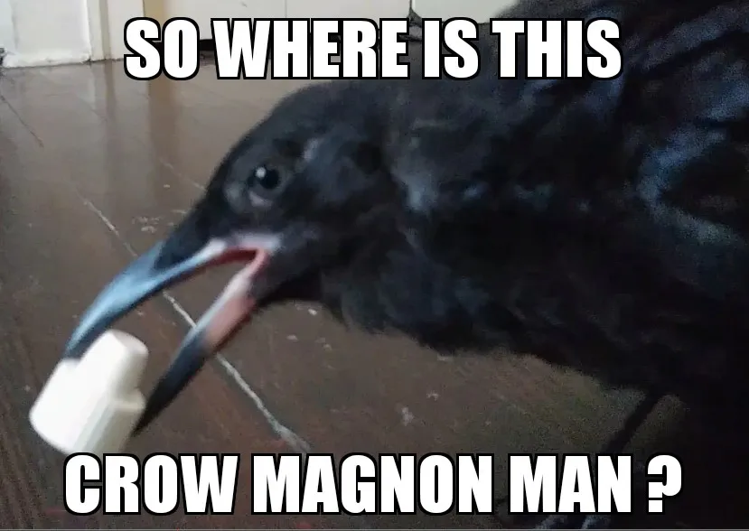 Rumeme.jpg