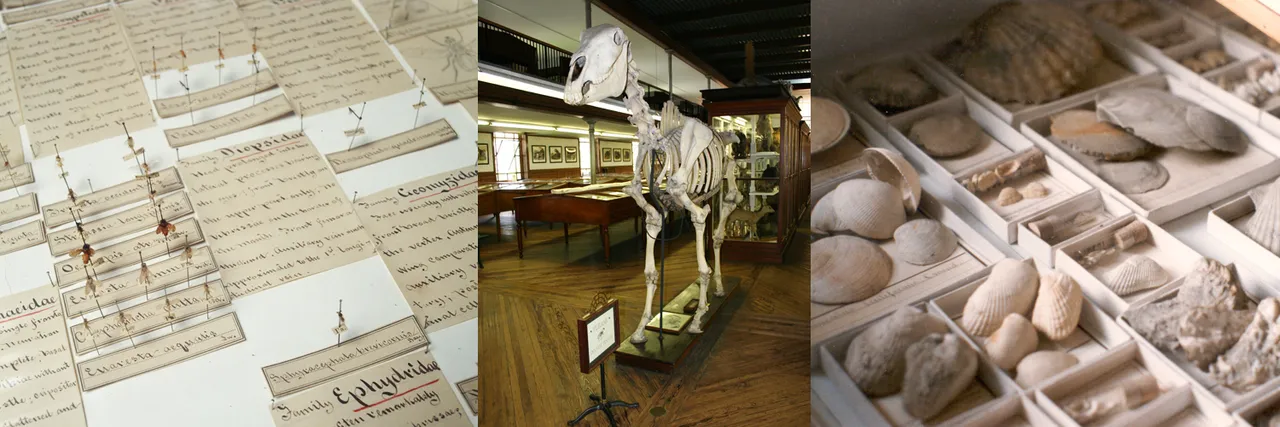 Museum.jpg