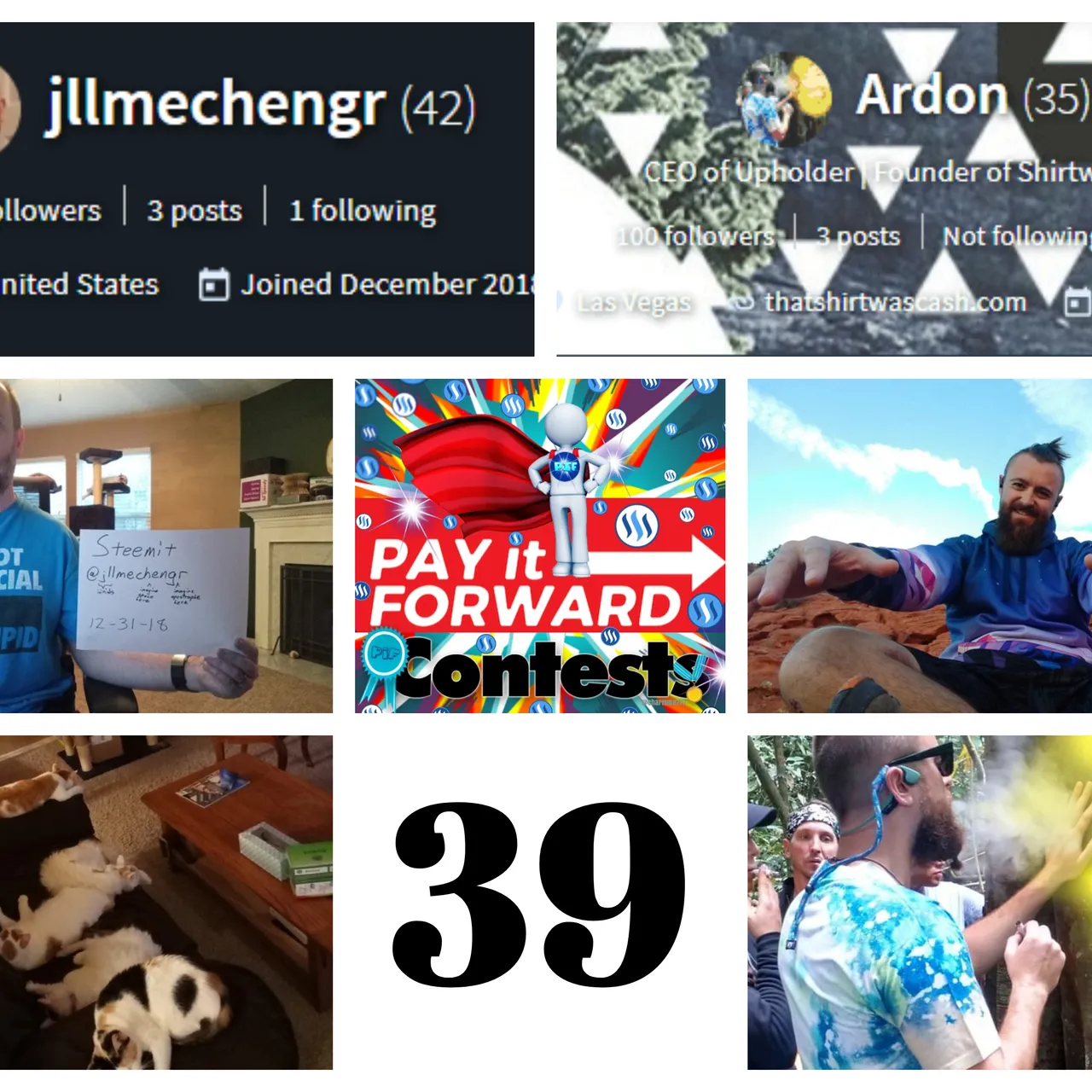 Pay It Forward Curation Contest - Week 39