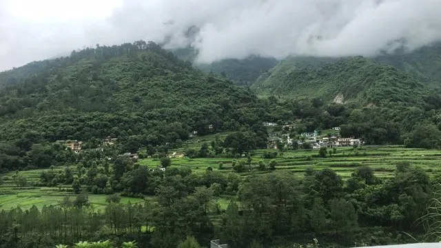 tussar.jpg