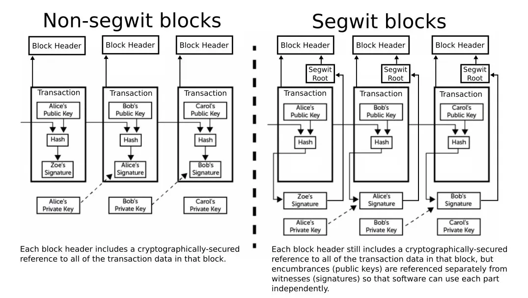 segwit.png