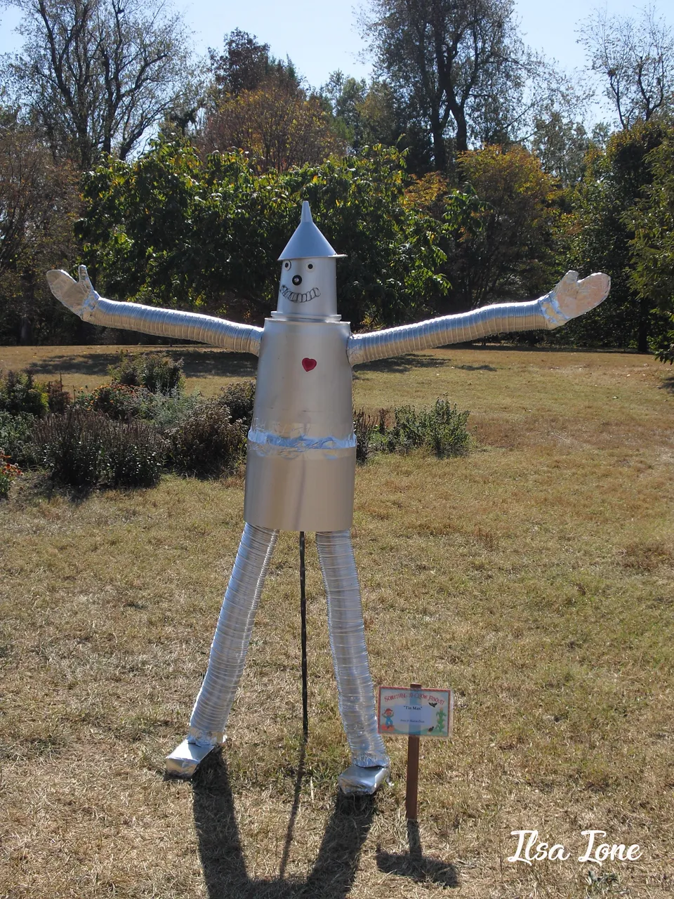 tinman.jpg