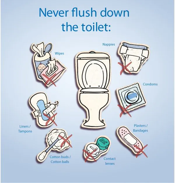 toilet.jpg