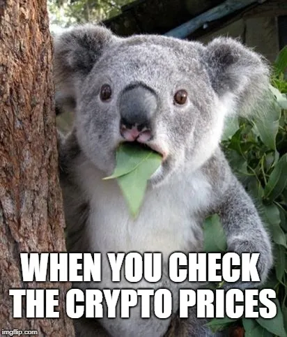 2c432f.jpg