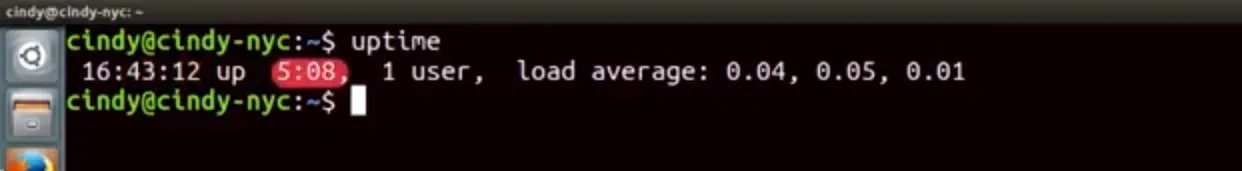 uptime.jpg