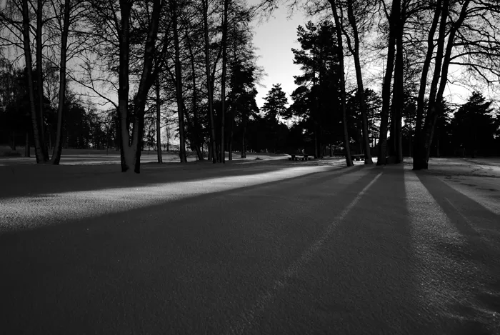 DSC_25.jpg