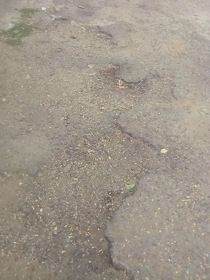 calle5.jpg