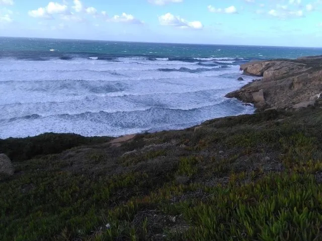beach1.jpg