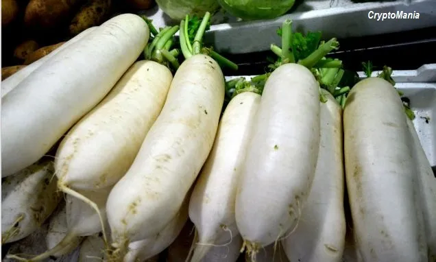 radish.JPG